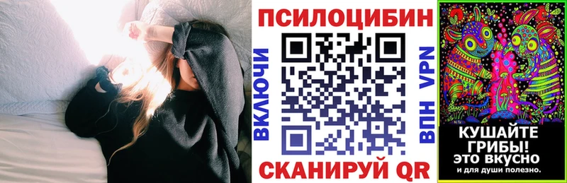 Купить где  Избербаш  Псилоцибиновые грибы мицелий 